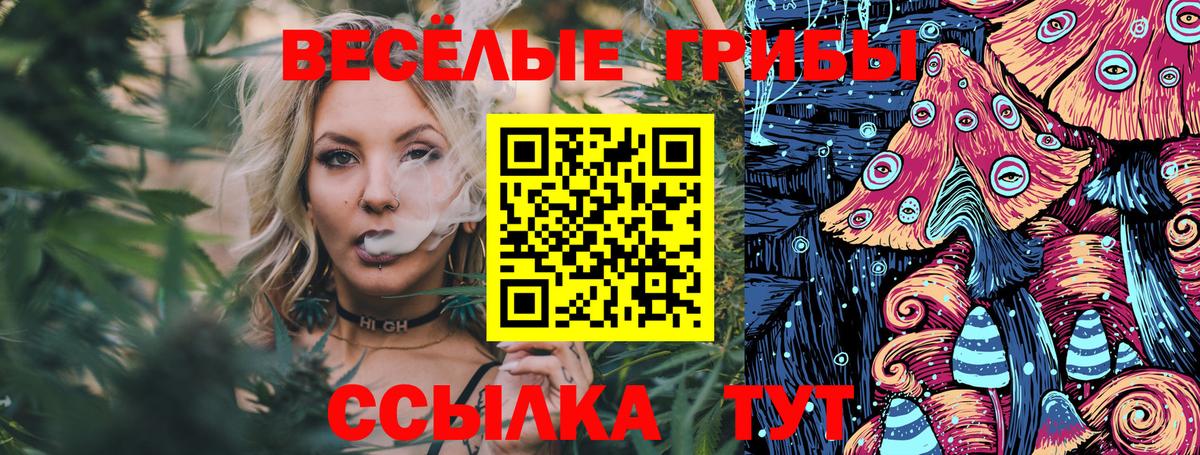 Псилоцибиновые грибы мицелий Сертолово
